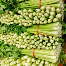 芹菜，电商美团直供一件代发，，，，，，