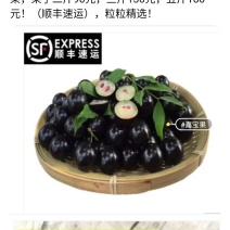 嘉宝果粒粒精选新鲜采摘基地直销价格优惠
