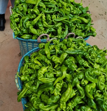 广西钦州辣椒大量有货