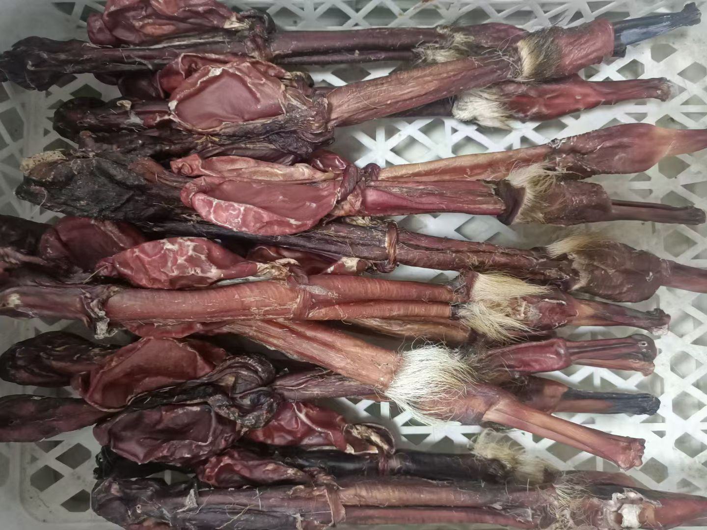 左侧展示整根干燥梅花鹿鞭,表面有细密纹理和血管痕迹;右侧为实验室级肽提取设备,包括离心机、超滤装置和冷冻干燥仪,操作人员穿戴洁净服正在处理样本 鹿鞭原材料与现代提取设备对比图