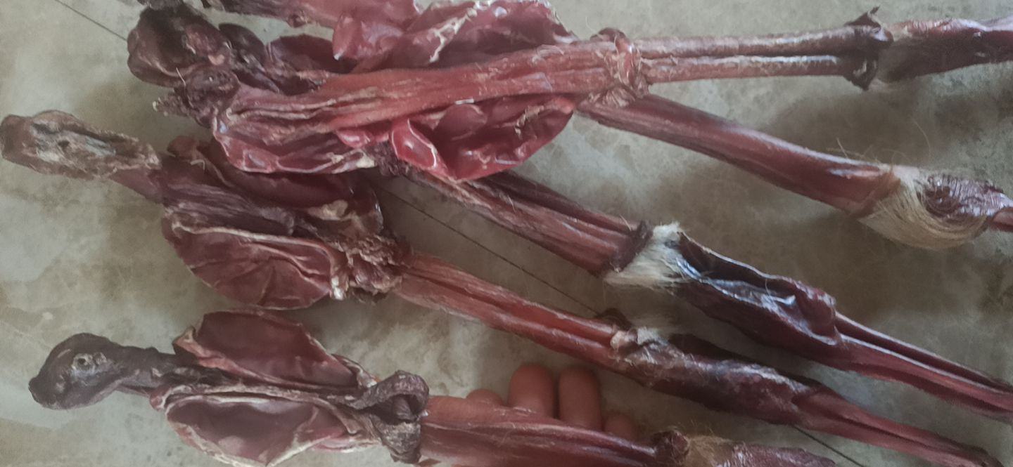 鹿鞭原材料特写