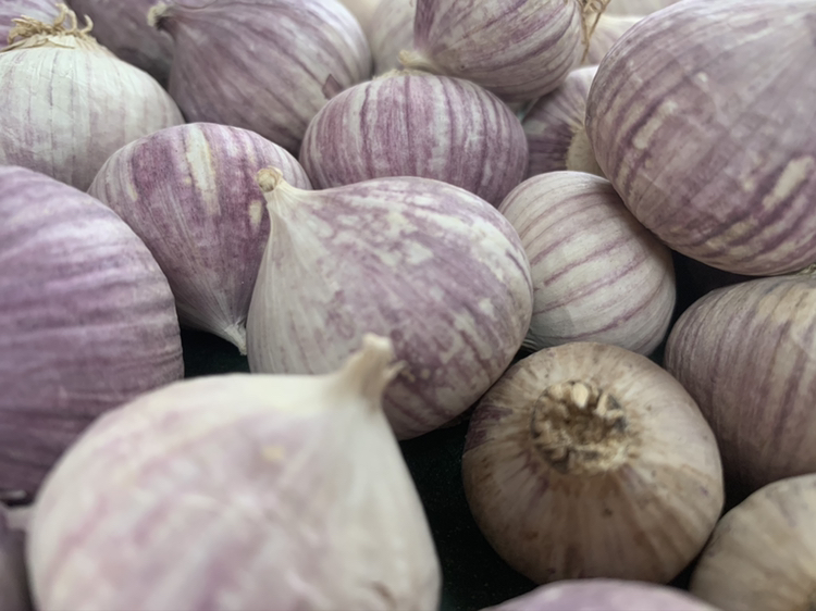 厨房实操对比图：左侧为刚切碎的独头蒜紫皮新鲜，呈淡紫色糊状并泛出晶莹汁液；右侧为同批次白皮多瓣蒜碎末，颜色更苍白、汁液较少；背景标注‘10分钟静置后DATS生成量：紫皮独头24.7μg/g vs 白皮多瓣17.5μg/g’