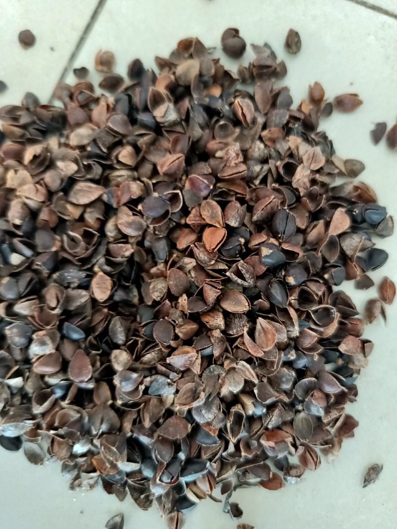 荞麦壳,头枕,无尘无味,颗粒独整,正品保证质量