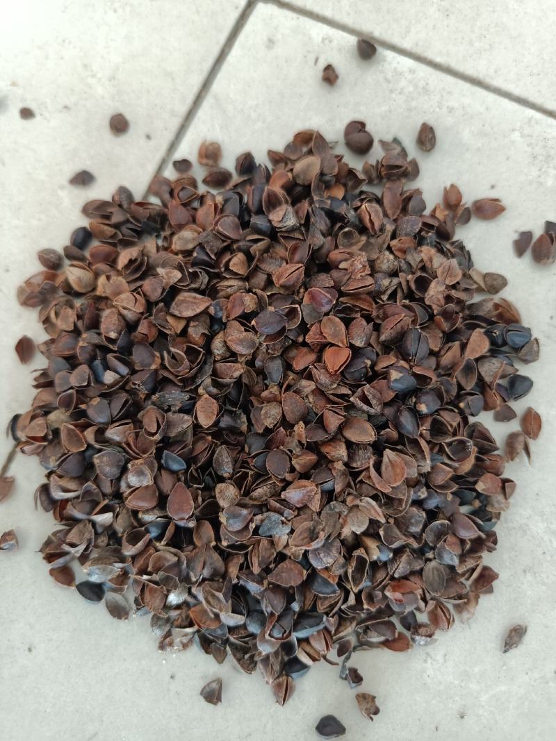 荞麦壳,头枕,无尘无味,颗粒独整,正品保证质量