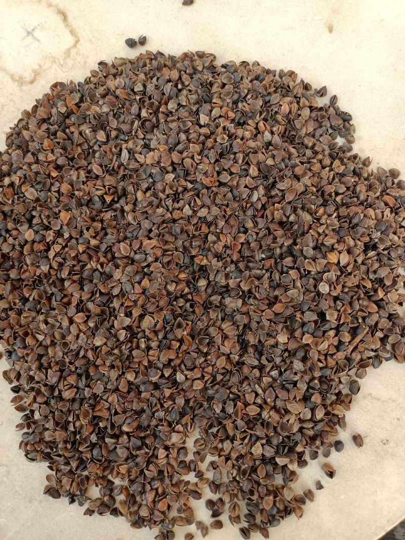 荞麦壳,头枕,无尘无味,颗粒独整,正品保证质量