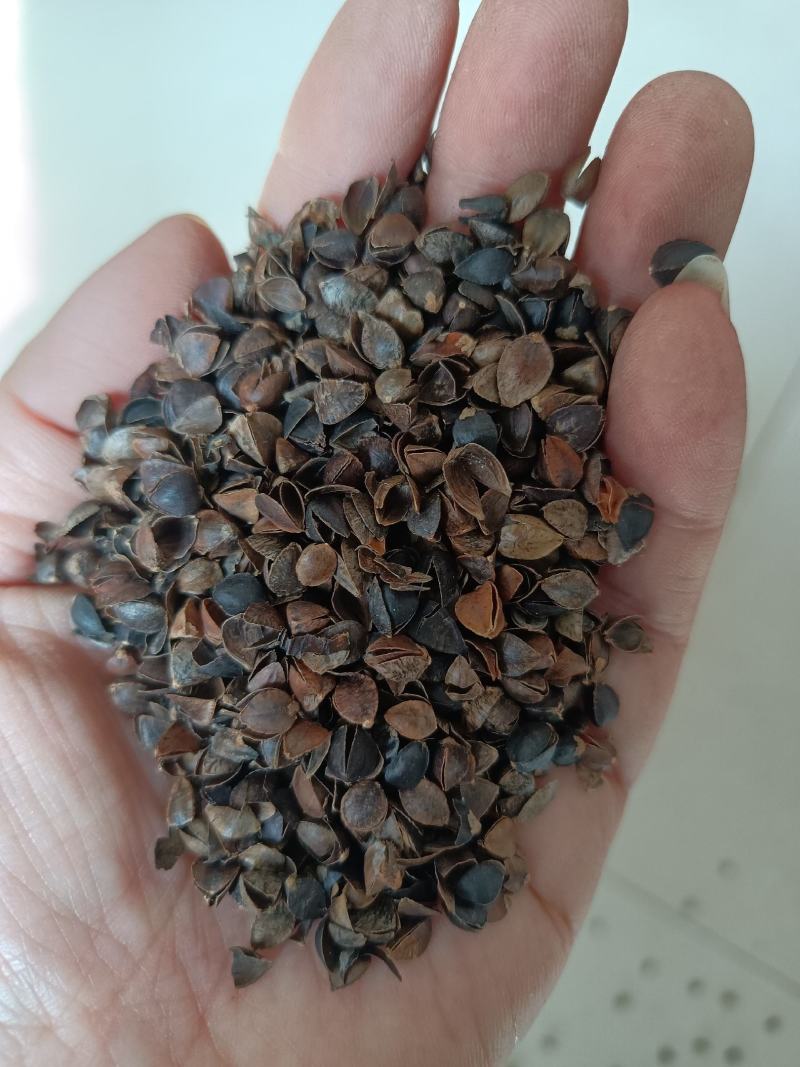 荞麦壳,头枕,无尘无味,颗粒独整,正品保证质量