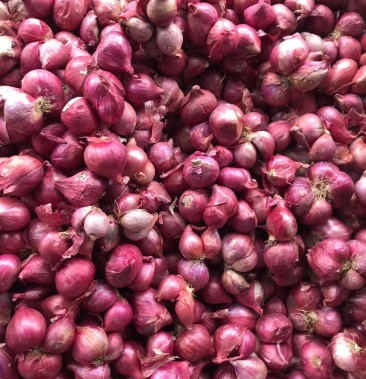 小红葱头香葱头越南进口小香葱头干红葱独红葱