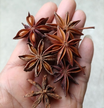 八角云南富宁大红八角2021年新货全干无硫阳光晒