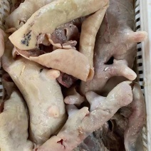 熟牛奶皮，牛杂汤专用，纯干货每天生产