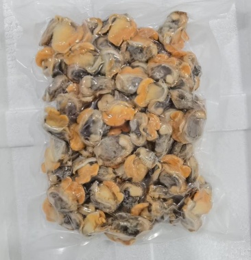 出口级蚶子肉,欢迎来扰