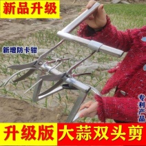 大蒜双头剪剪蒜神器剪蒜机两头蒜剪新款调节蒜铡农用手动不锈