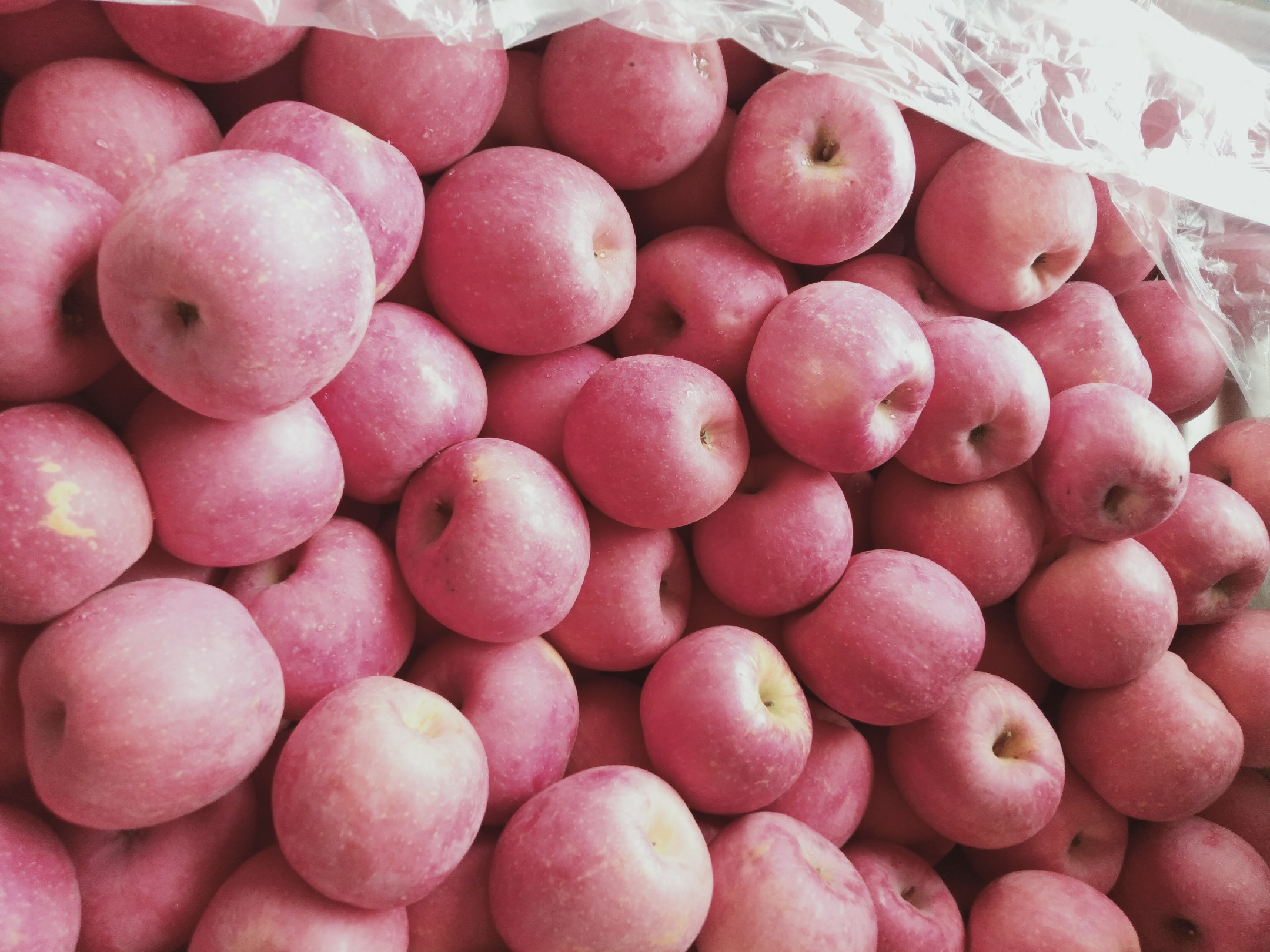 市场摊位上摆放的不同品种苹果对比