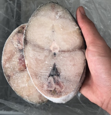 大马鲛鱼新鲜冷冻钹鱼切片渔船深海捕新鲜马鲛鱼鲅鱼肉