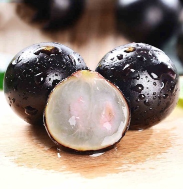 嘉宝果苗四季红妃沙巴艾斯卡福冈嘉宝果苗带杯发货包邮