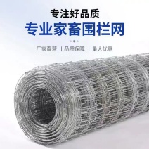 铁丝网，牛栏网，大型养殖网，围网，热度锌铁丝网