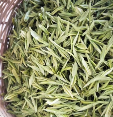 来自浙江安吉的高山茶安吉白茶