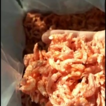 发货广州，淡干wu盐磷虾