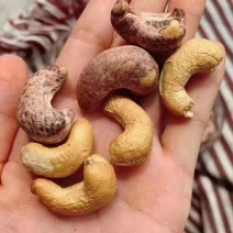 越南腰果优选精品大腰果进口腰果虎皮腰果口岸直供货腰果批发