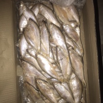 毛扣鱼，黄鲫鱼，适合超市，食堂，集市，电商