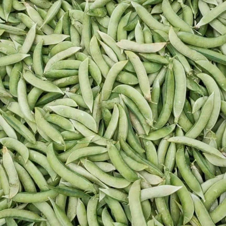 [干豌豆批发]本地大白豌豆好吃的很价格1.60元/斤 - 一亩田
