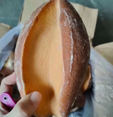 海螺海螺头熟螺头多种烹调方式