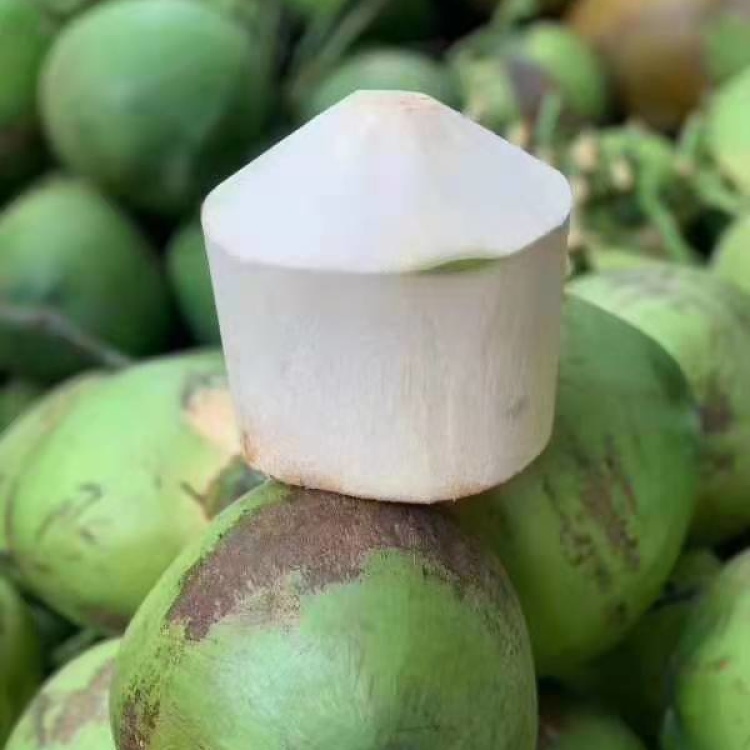 [椰子批发]椰岛.椰青.削皮椰青4个箱装,圆通55/件,顺丰65/件价格65.