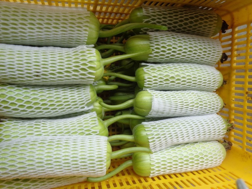 成品凉拌白菜丝图