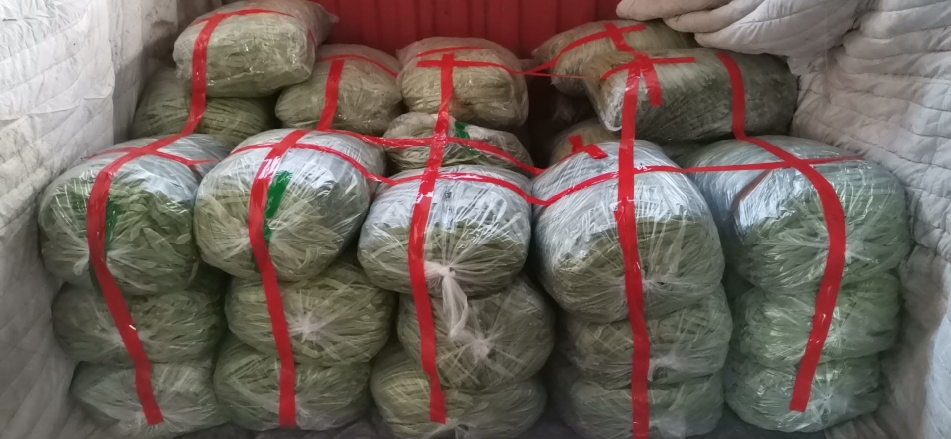 扁豆冷藏保存示意图