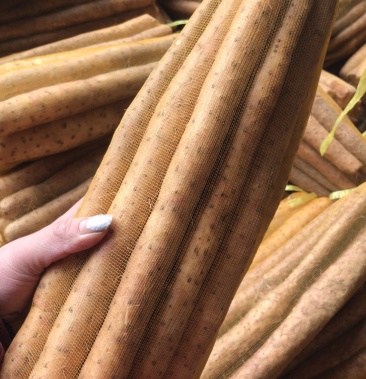 双棒网袋山药白嘴山药条形好价格美丽欢迎来电