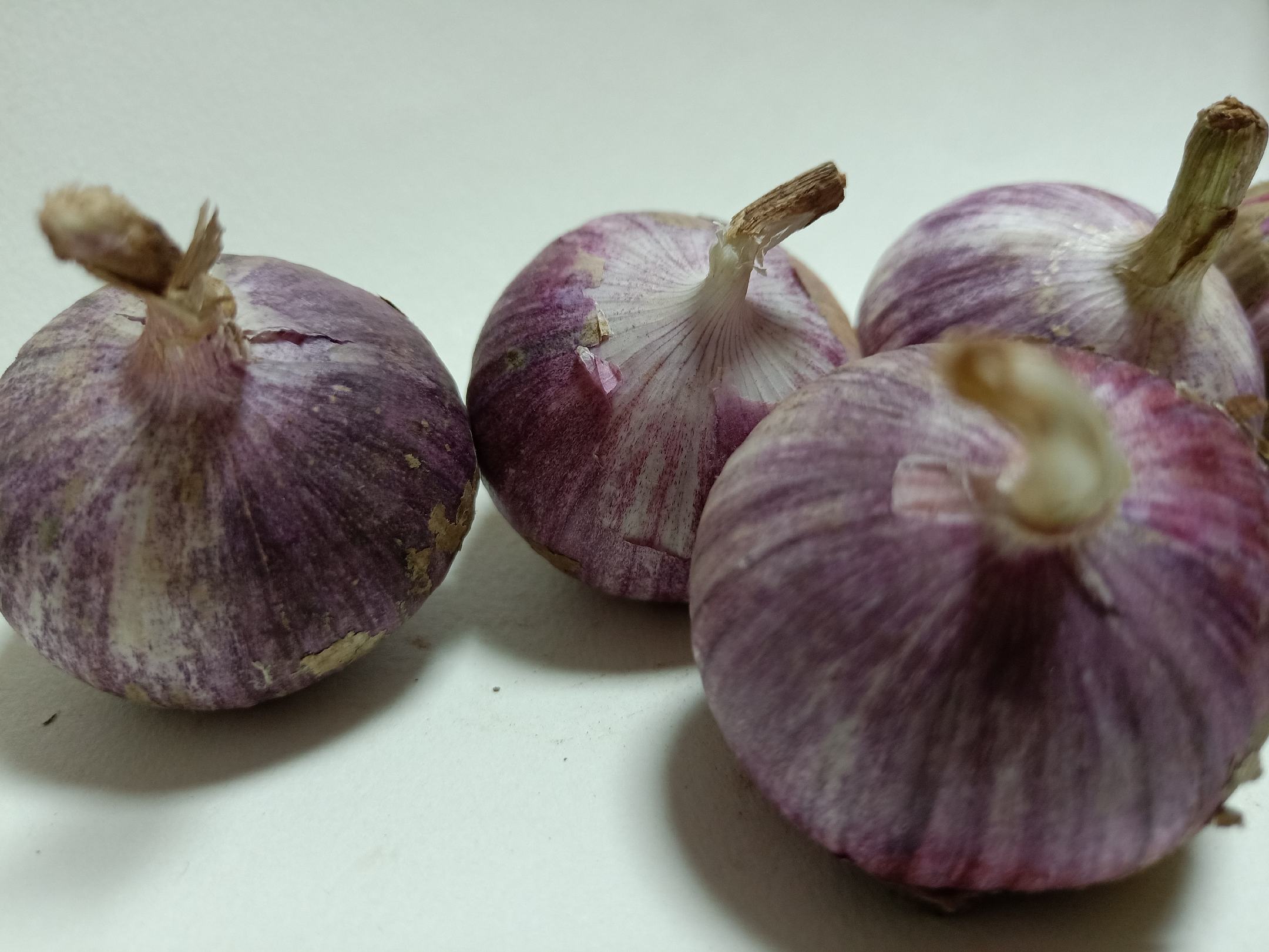 青皮独头蒜在传统青石臼中被木杵手工舂制,呈现半颗粒半浆状质感,蒜粒饱满湿润,表面反射自然光,背景虚化展现成都本土生活场景元素 现舂蓉蒜特写:青皮独头蒜剥开堆叠于青石臼中,木杵正缓缓下压,蒜粒半碎半整,泛着晶莹汁液与青白光泽,背景为成都老茶馆竹编窗棂与青砖墙