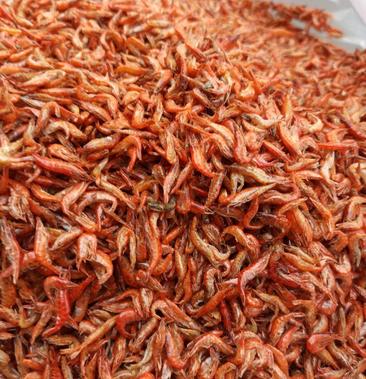 纯正洪泽湖烤箱美味小红虾个头均匀色泽亮丽质优良需要联系