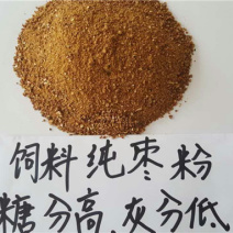 饲料枣粉牲畜用厂家供应糖分高灰分低货源充足