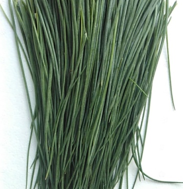 甘肃民勤特产沙葱保鲜发货货源稳定现采发货