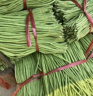 [豆角批发]海南精品新苗豆角欢迎咨询价格1.50元/斤 - 一亩田