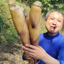 品质苦笋，新鲜，口感清脆