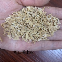 新鲜金黄色稻壳、干燥无霉变
