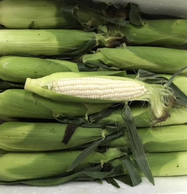 台湾爆浆牛奶玉米 牛奶水果玉米