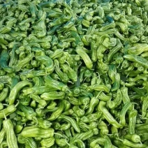 四川辣椒，芜湖椒，薄皮椒，尖椒，鲜辣椒，大青椒，