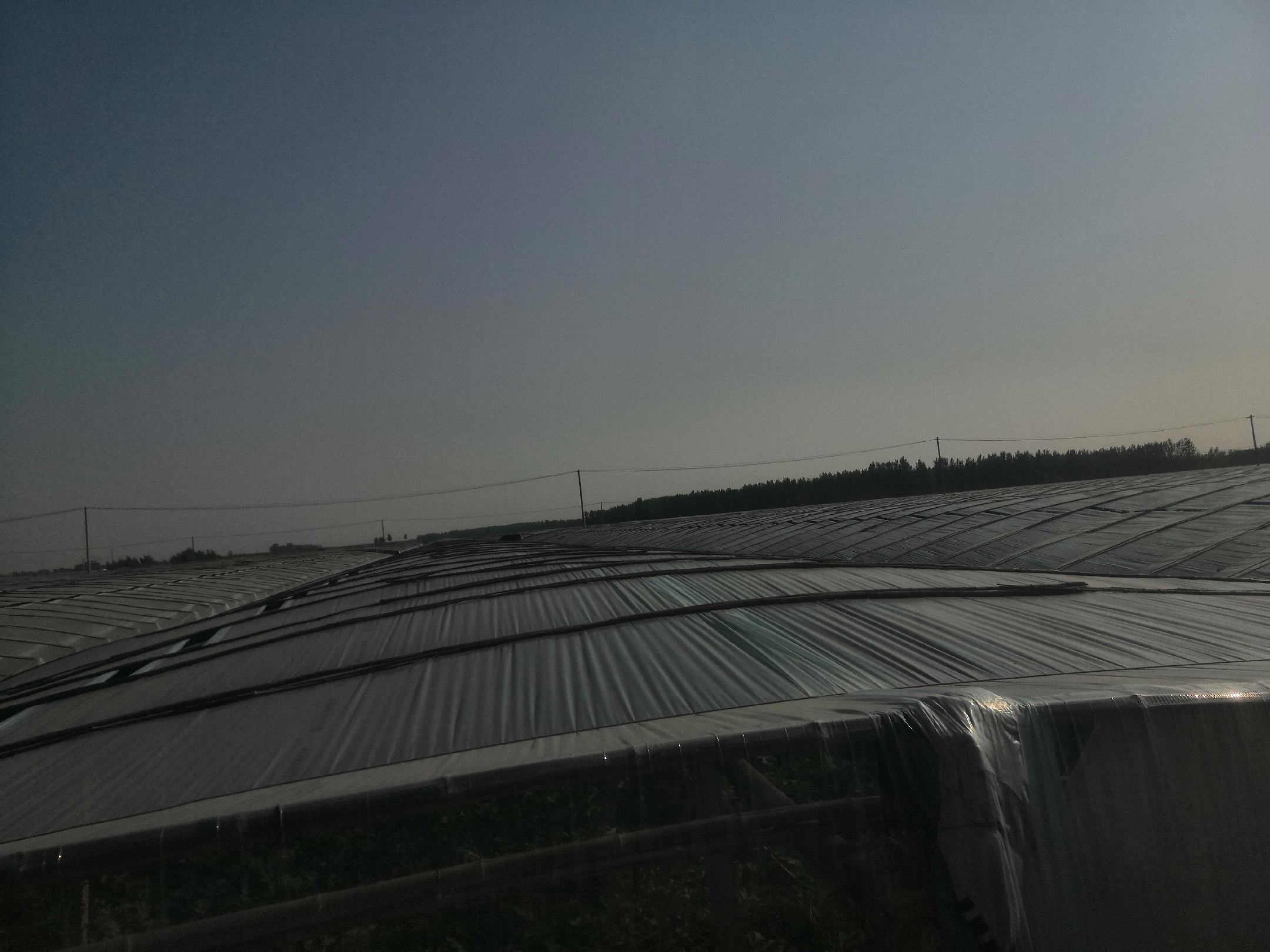 大兴区庞各庄镇京欣西瓜种植基地航拍图