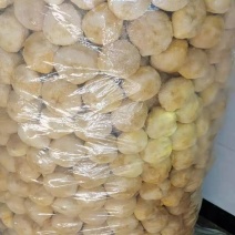 猴头菇猴头菇粉猴头菇大量上市，产地直发，品质保证，