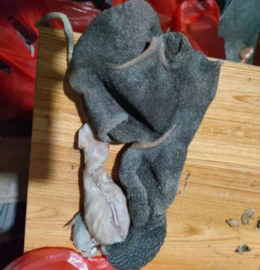 aa清真全熟五香黑羊肚