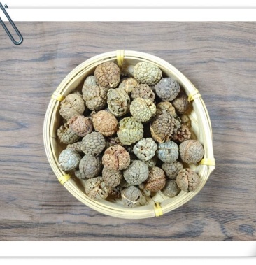 山间谷草 草豆蔻 500g包邮野生草豆蔻 草蔻 草寇仁