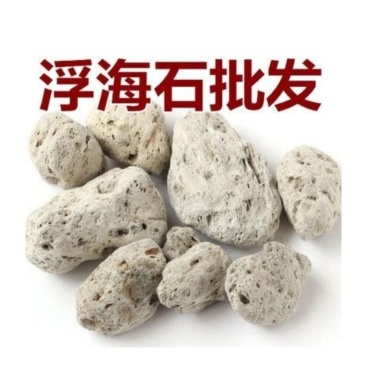 [浮海石批发]海浮石 浮海石 海浮花 产地直销 量