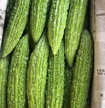产地新苗珍珠苦瓜大量上市