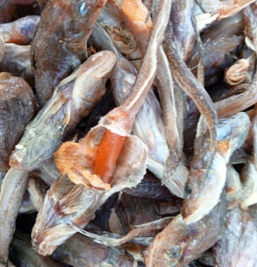 精品特级狗光鱼油光鱼咸鱼干鱼干傻瓜鱼渤海特产产地直发质量