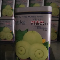 甜蜜蜜甜瓜，本品种从曰本引进原种早熟果实为圆球型瓜底凸出