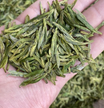 新西湖龙井龙井94高山土茶明前新茶香味独特