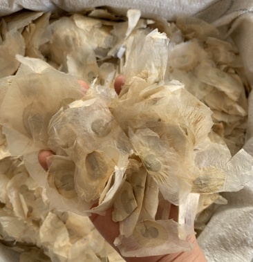 木蝴蝶 千层纸木蝴蝶 干净无杂质无添加 1公斤起批