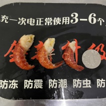 龙虾尾批发今年新货有量有价快来秒
