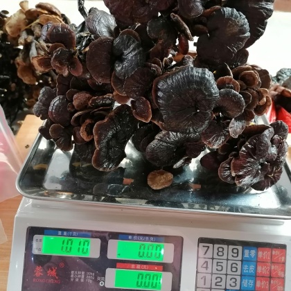 安徽竹灵芝价格行情走势 - 一亩田